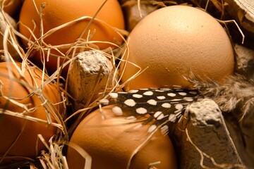 Easter culinary background of fresh homemade eggs in rustic country style with straw and feathers