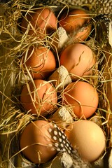 Easter culinary background of fresh homemade eggs arranged in a carton