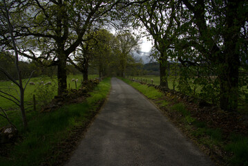 Shadows over Scotland country lane