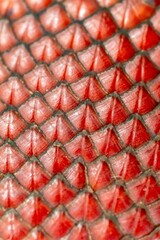 Fototapeta premium Texture of the skin of ripe buriti fruit