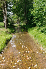 Peaceful summer view of Vaiguva river-street in Ploksciai village, Lithuania