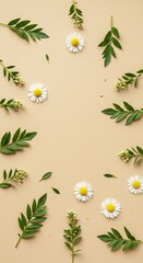 Daisy and green leaf floral arrangement on beige background for natural design