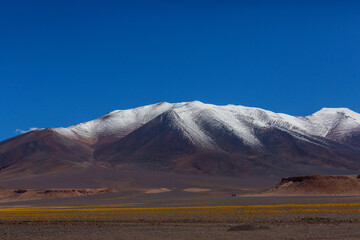 Northern Chile