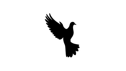 Elegant dove silhouette in flight against white background, peace symbol