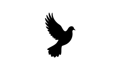 Silhouette of dove representing peace in flight, tranquility symbol