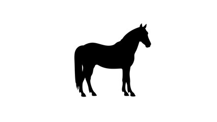 Fototapeta premium Elegant horse silhouette on white background, artistic representation