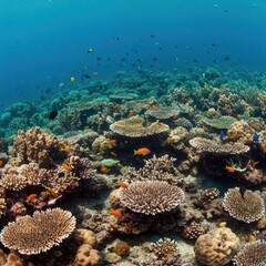 Naklejka premium An underwater world with vibrant coral reefs and schools of fish