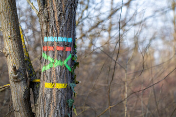 Yellow, blue, green and red Hiking trail marking in France on a trunk. Itineraries in France, repere excursion marking.