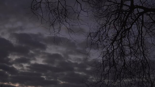 The intricate, leafless branches of a deciduous tree silhouetted against a dark, cloudy twilight sky. The scene evokes a sense of the approaching nightfall with the dense cloud cover.