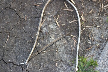 thick woven lace with frayed edges on ground