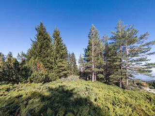 Autumn Landscape of Vitosha Mountain, Bulgaria