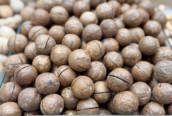 Macadamia nuts, unpeeled, are large in size on sale on the market. The concept of healthy organic food. Close-up