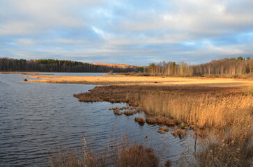 Autumn lake. Small waves on the surface of the water, reeds, bushes, trees grow along the banks of the reservoir. The foliage on them has turned yellow. Above, a blue sky with white and gray clouds.