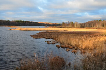 Autumn lake. Small waves on the surface of the water, reeds, bushes, trees grow along the banks of the reservoir. The foliage on them has turned yellow. Above, a blue sky with white and gray clouds.