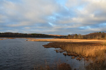 Autumn lake. Small waves on the surface of the water, reeds, bushes, trees grow along the banks of the reservoir. The foliage on them has turned yellow. Above, a blue sky with white and gray clouds.
