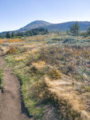 Autumn Landscape of Vitosha Mountain, Bulgaria