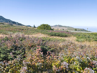 Autumn Landscape of Vitosha Mountain, Bulgaria
