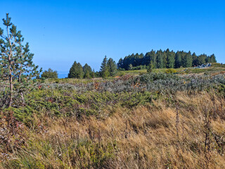Autumn Landscape of Vitosha Mountain, Bulgaria