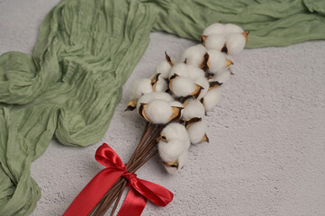 Branch of cotton inflorescence plant with red silk bow on a white textured background. Green cloth. Spring, Compliment for Women's Day 8 March