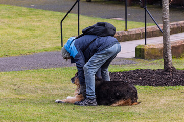 Dog Owner Leaning Down Petting German Shepherd x Maremma Sheepdog Lying on Grass in Public Park