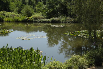 JARDINES DEL AGUA. FRANCIA EUROPA. 