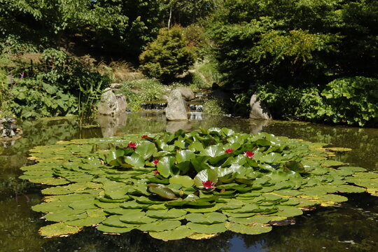 JARDINES DEL AGUA. FRANCIA EUROPA. 