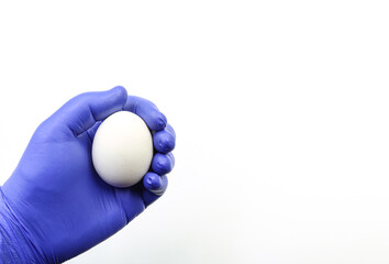 Doctor's or scientist's glove with a white chicken egg.