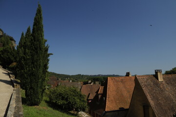 CASTILLO DE MONFORT. FRANCIA. EUROPA. 