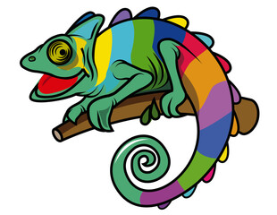 Fototapeta premium Camaleonte colorato su sfondo bianco