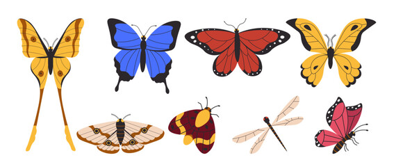 Flat style illustration of various butterflies, moths, and insects in different colors and patterns, ideal for nature-inspired designs, decorative projects, and educational materials.