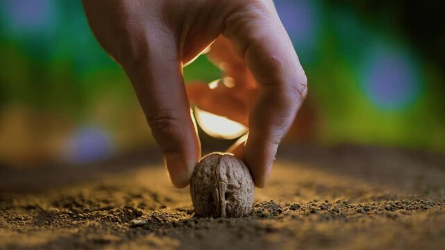 Planting seeds in soil to nurture growth and support the environment