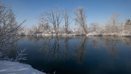 Schneebedeckte Bäume spiegeln sich im Bach