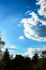 Obraz premium Blue sky with scattered white clouds, tree silhouettes, and distant buildings on the horizon in the background.