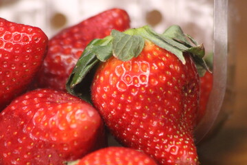 Fresh Strawberries Close-up