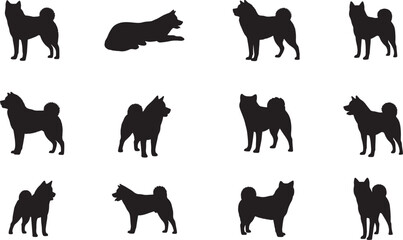 Akita Silhouette on White Background