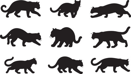 Asiatic Golden Cat Silhouettes