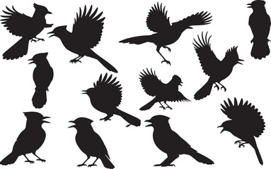 Blue Jay Silhouettes