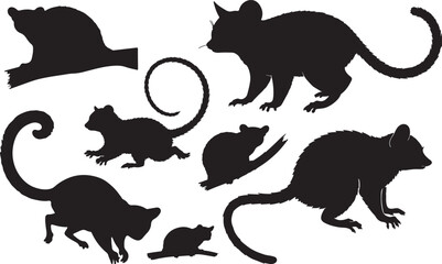 Bush Baby Silhouette on White Background