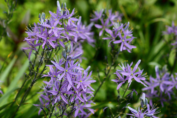 Botanischer Garten Augsburg