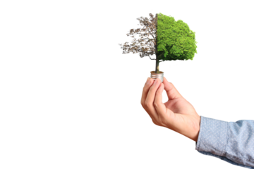 Environmental awareness initiative urban setting conceptual art nature vs. Nurture close-up view sustainability theme