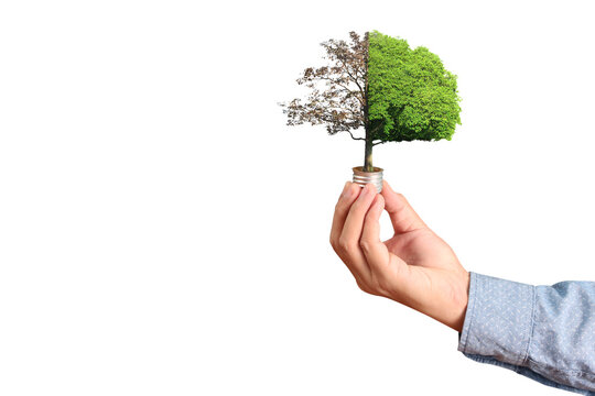 Environmental awareness initiative urban setting conceptual art nature vs. Nurture close-up view sustainability theme