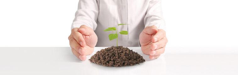 Nurturing new life plant growth initiative indoor environment photography close-up sustainability concept