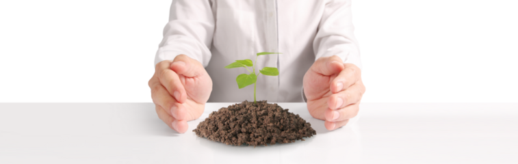 Nurturing new life plant growth initiative indoor environment photography close-up sustainability concept