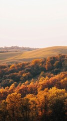 Naklejka premium Tranquil Autumn Landscape with Rolling Hills and Vibrant Foliage