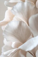 A delicate arrangement of white ginkgo leaves showcases intricate textures and soft lighting, evoking tranquility.