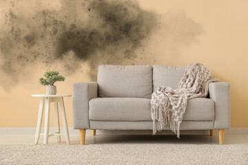 Fototapeta premium Grey sofa and decorative tree on small table near beige wall