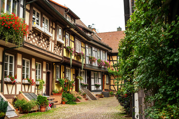 German colorful facade with plants