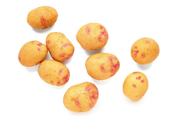 Many fresh raw potatoes on white background