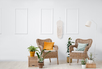 Wicker chairs, boxes and different houseplants near white wall in living room