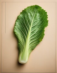 菜の花の葉の鮮やかさと和紙の控えめな質感が創る、落ち着いた和の情緒
